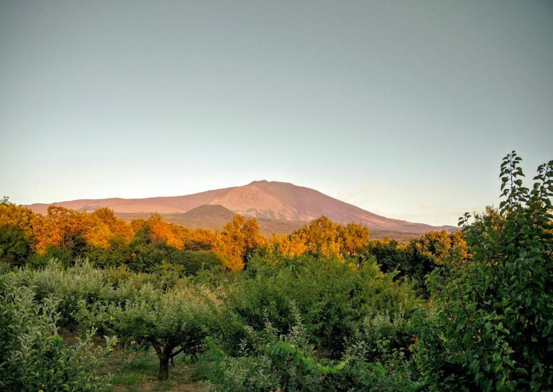 Mount Etna Chalet Maletto Exterior photo