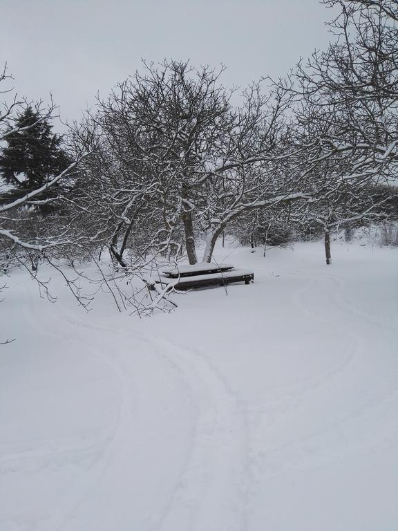 Mount Etna Chalet Maletto Exterior photo