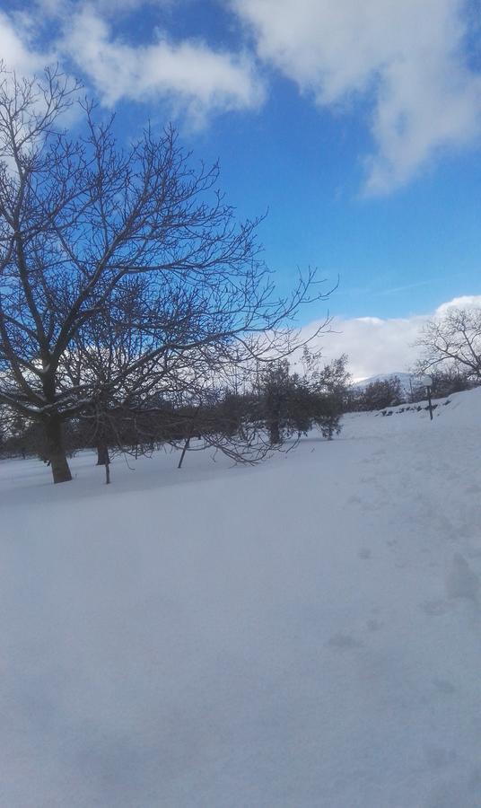 Mount Etna Chalet Maletto Exterior photo