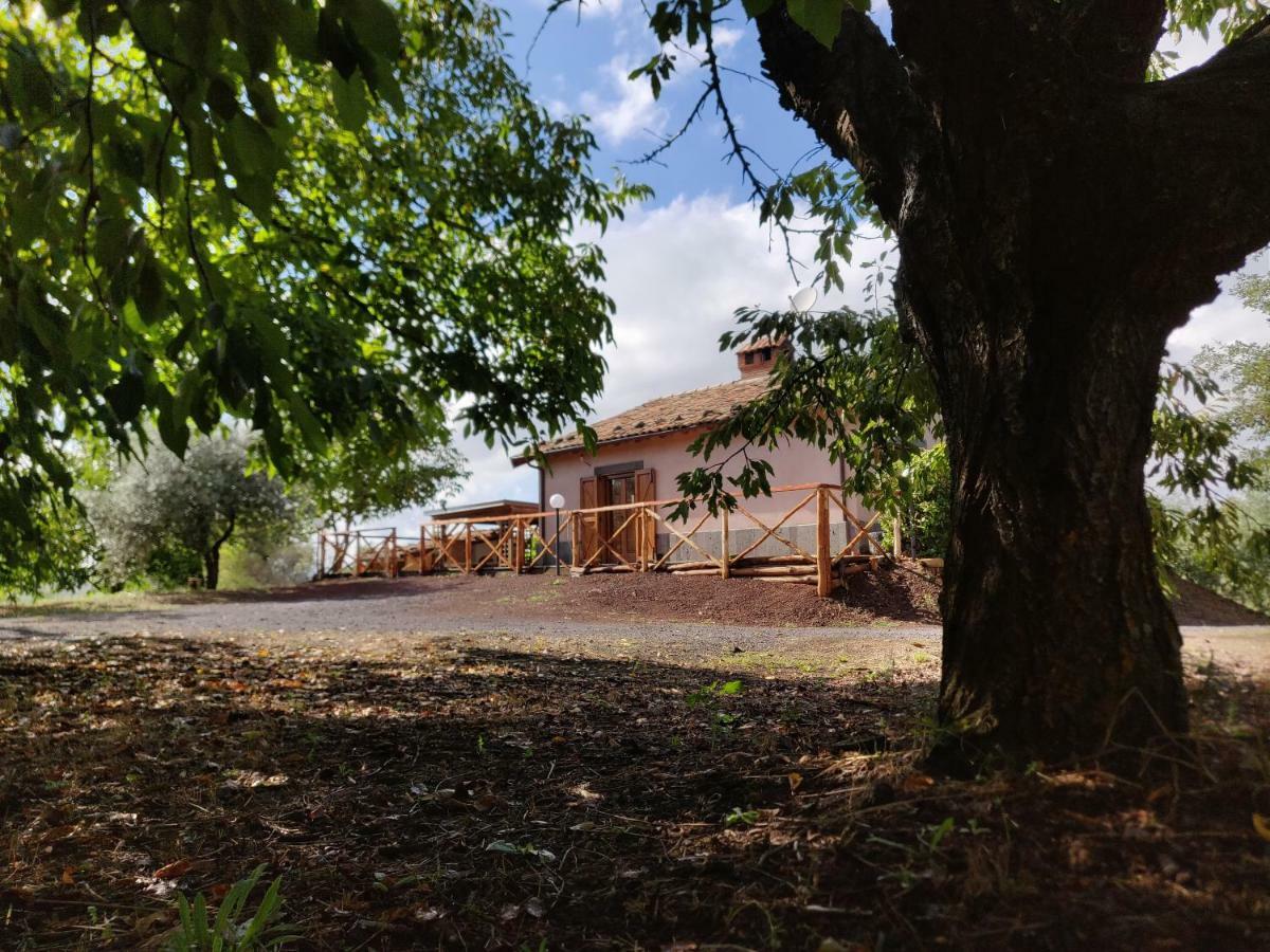 Mount Etna Chalet Maletto Exterior photo